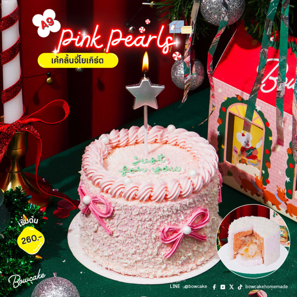 Christmas Cake Blog - a9