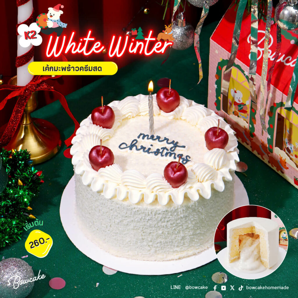 Christmas Cake Blog - k2