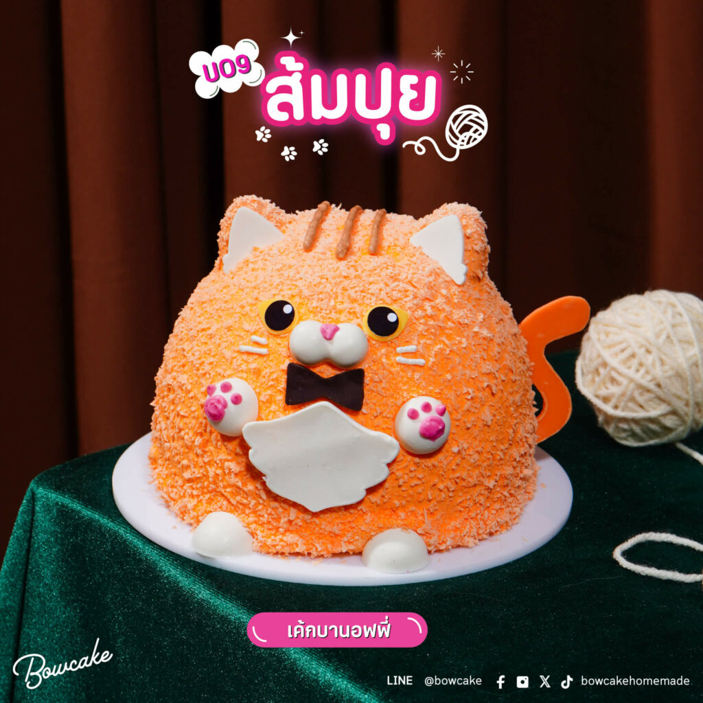 เค้กหน้าแมว สีส้ม 1