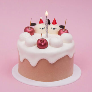 เค้ก-m14-pok