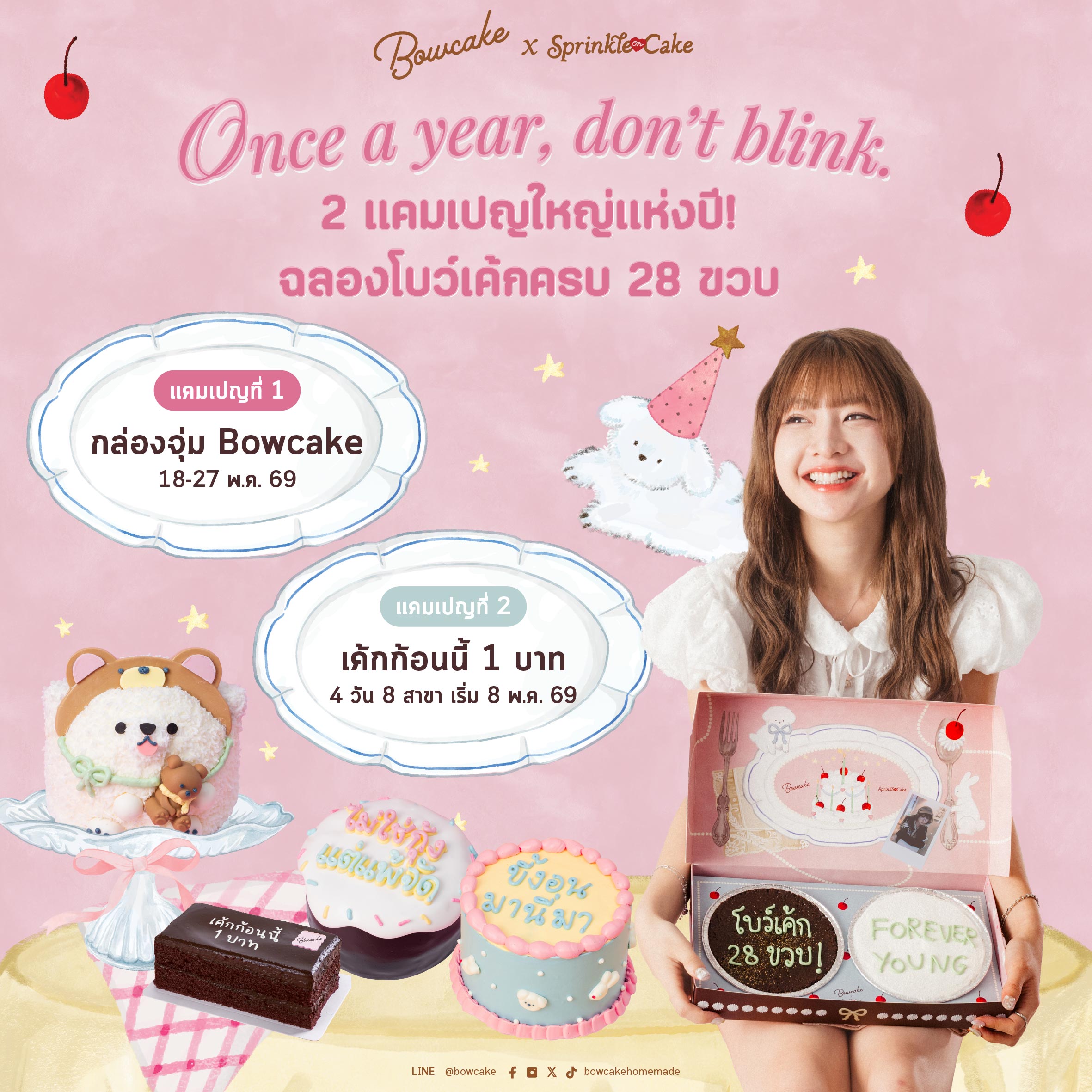 Sprinkle the Sweetest Stories : 28 Years of Bowcake